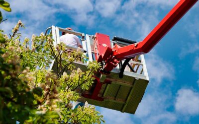 La normativa, le linee guida e il patentino per le piattaforme mobili elevabili